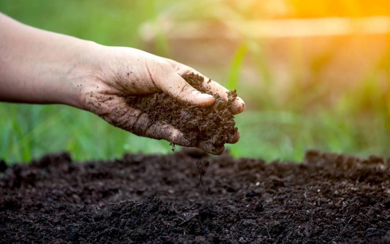 Farmers can receive subsidies for investment projects to improve soil quality