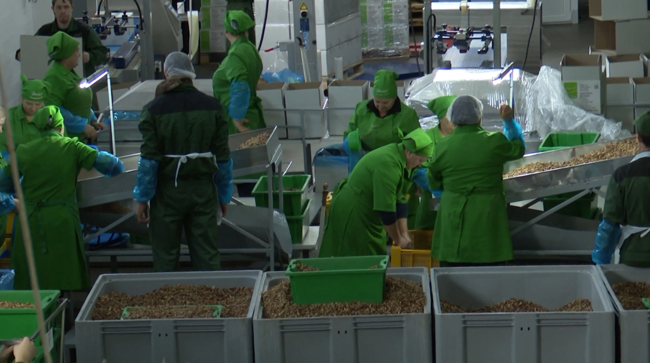 Solar panels and sewage systems power success at an Ialoveni factory