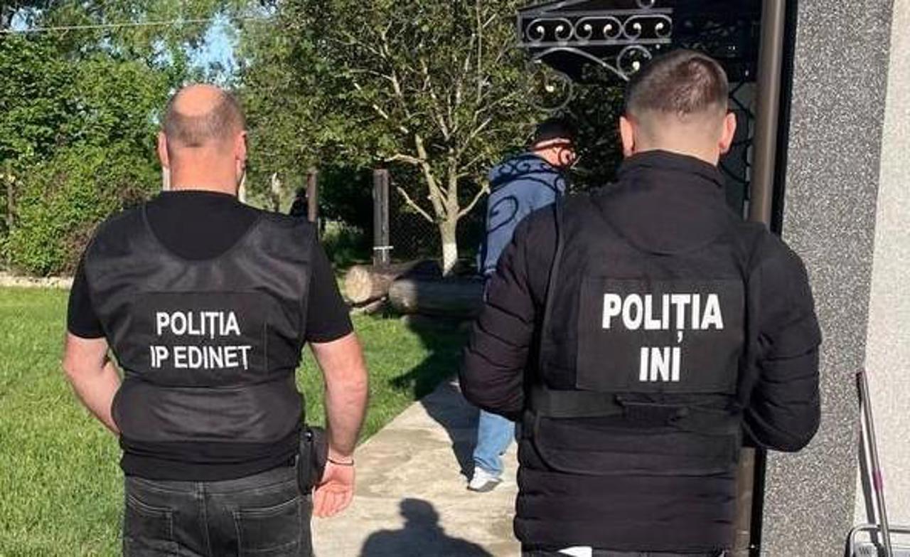 Tăiau ilegal păduri și furau lemne: Percheziții de amploare în nordul țării