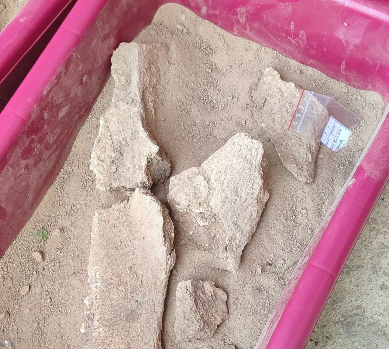 Oase de mamut și piese din silex, găsite de arheologi la Climăuții de Jos