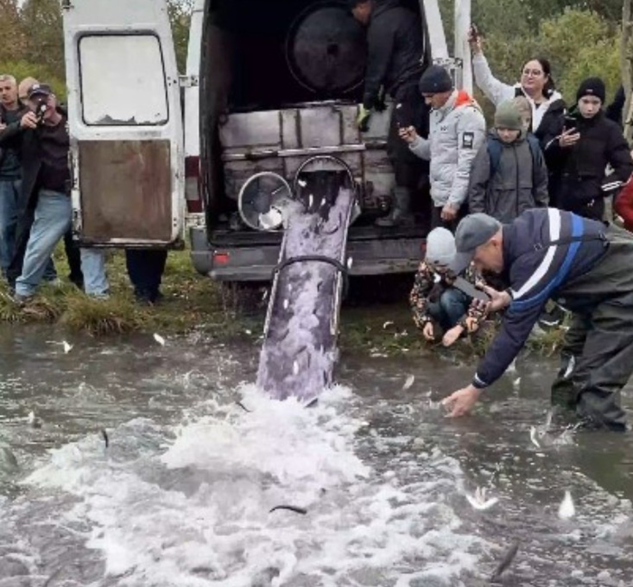Lacurile din capitală, populate cu pește. Sute de kilograme, eliberate în lacul din Parcul „La Izvor” 