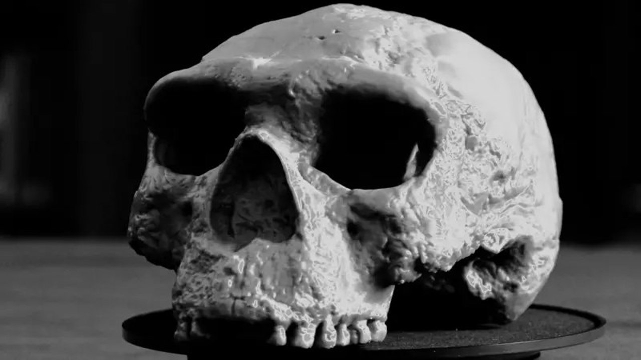 Homo sapiens, mai bătrân cu 500.000 de ani? O descoperire șocantă zguduie lumea științifică
