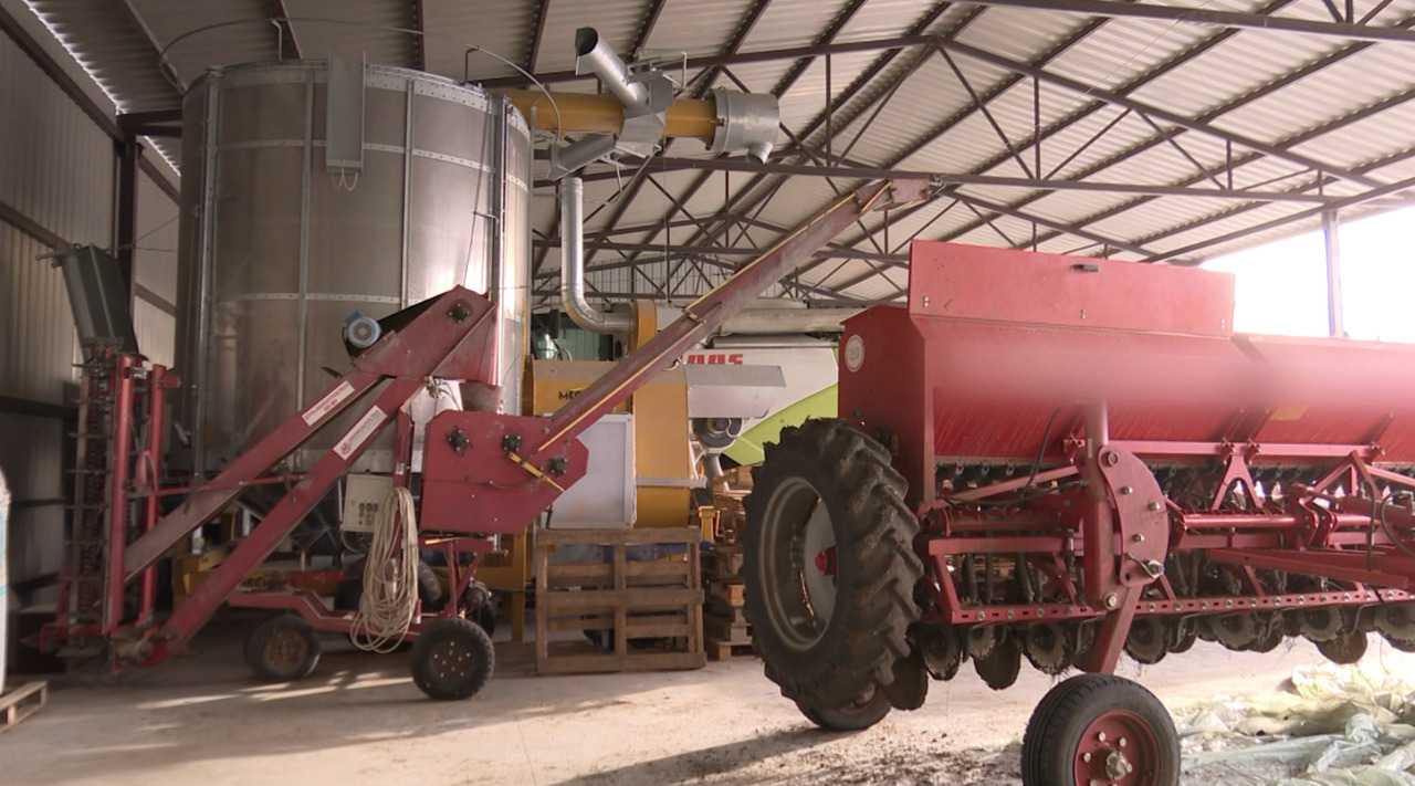 „Dacă una nu rodește, alta aduce venit”: un fermier din Valea Perjei și-a organizat afacerea ca să nu iasă niciodată în pierdere