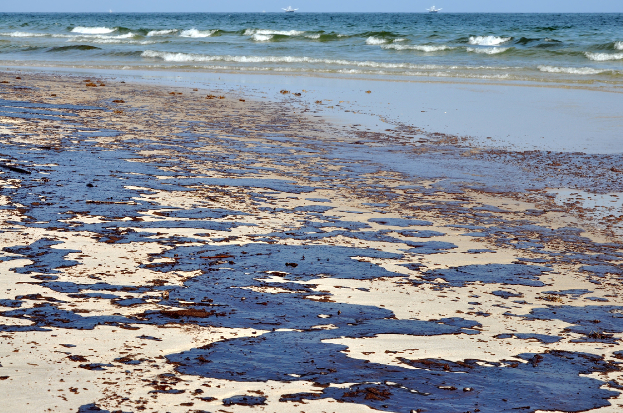 Black Sea oil spill: Urgent cleanup efforts