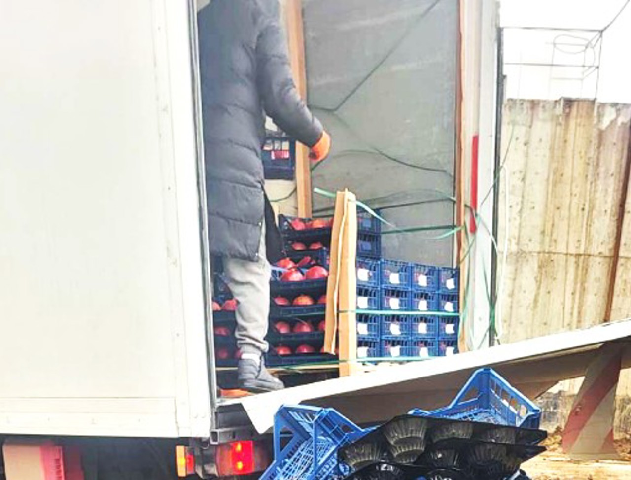 ANSA a reținut și nimicit 2.080 kg de rodii cu depășiri de pesticide