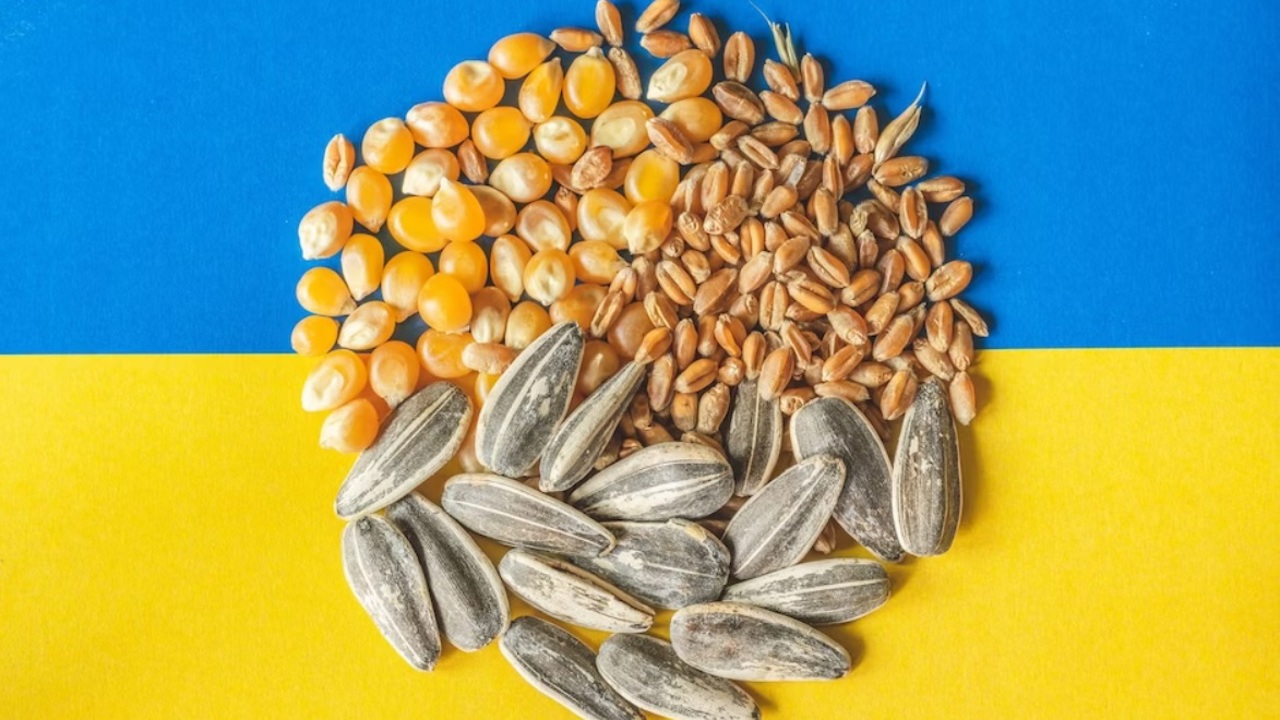 Comisia Europeană a ajuns la un acord cu Bulgaria, Polonia, Ungaria, România și Slovacia privind importul anumitor produse alimentare ucrainene