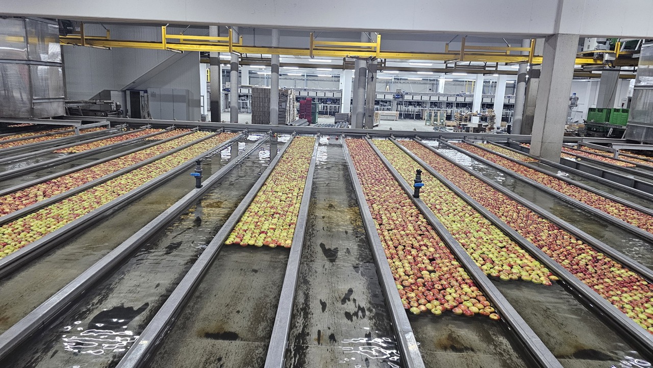 Experți: Digitalizarea agriculturii, automatizarea construcțiilor și eficientizarea logisticii pot accelera creșterea economică a R. Moldova