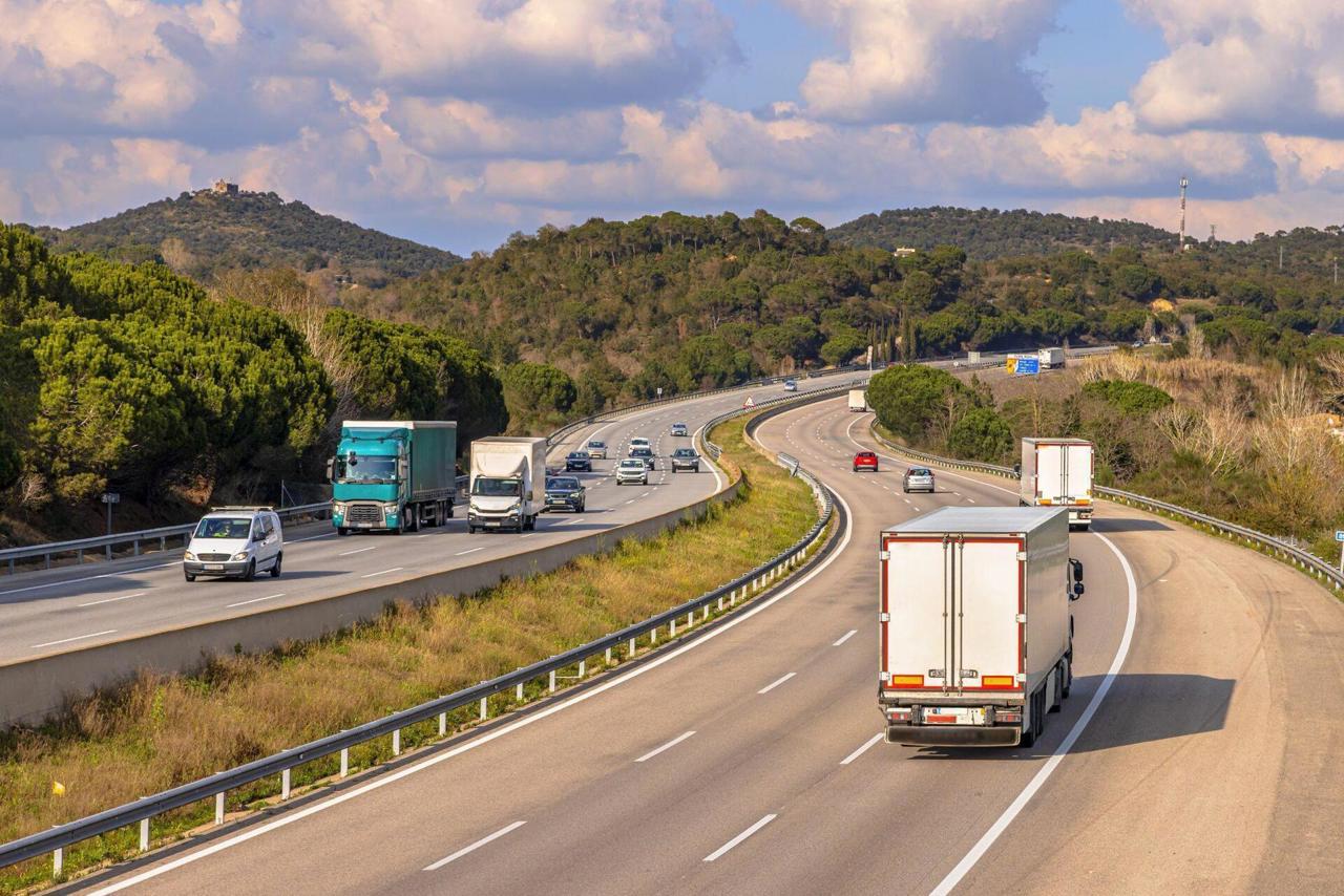„Unele exporturi pot deveni nerentabile”. Bolea cere soluții pentru reducerea costurilor de transport, după schimbarea rutelor comerciale din cauza războiului