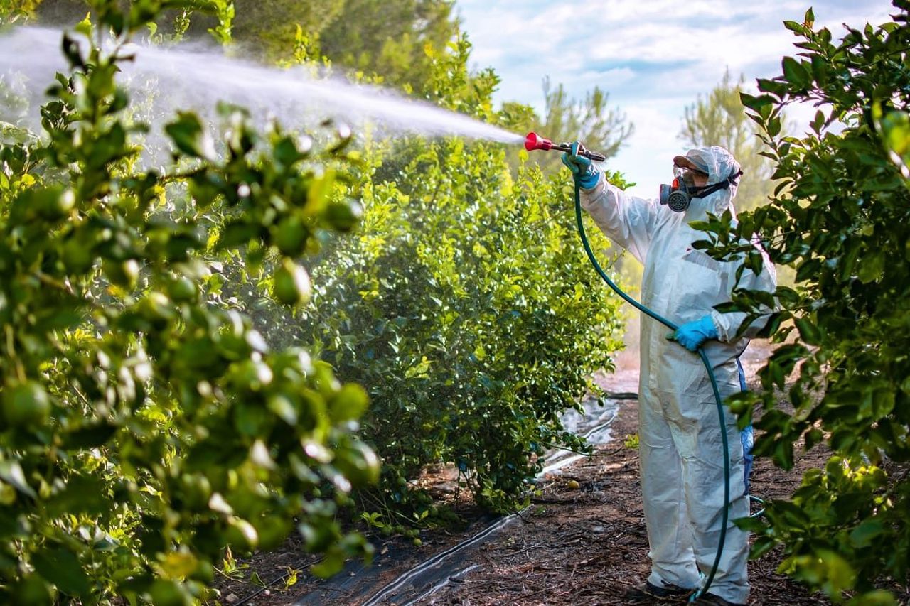 Pesticidele, indispensabile în agricultură, dar pot afecta sănătatea dacă sunt utilizate necorespunzător