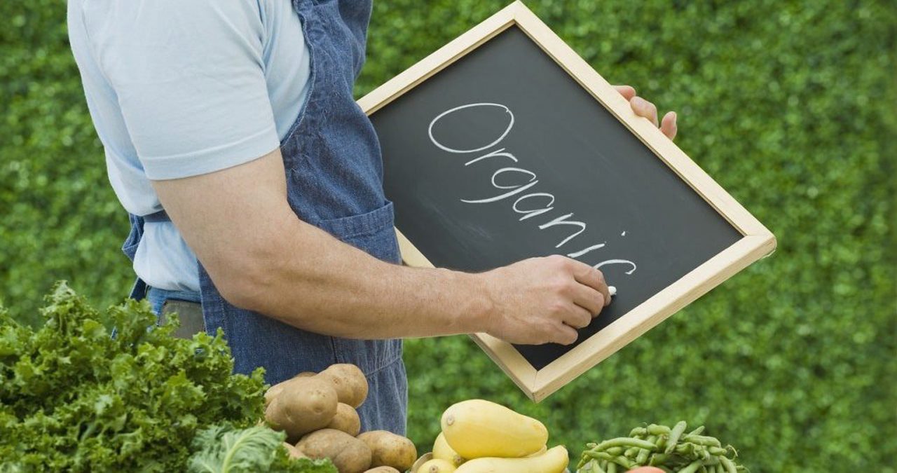 Capcana etichetelor eco: Ghid pentru identificarea fenomenului de „spălare verde”