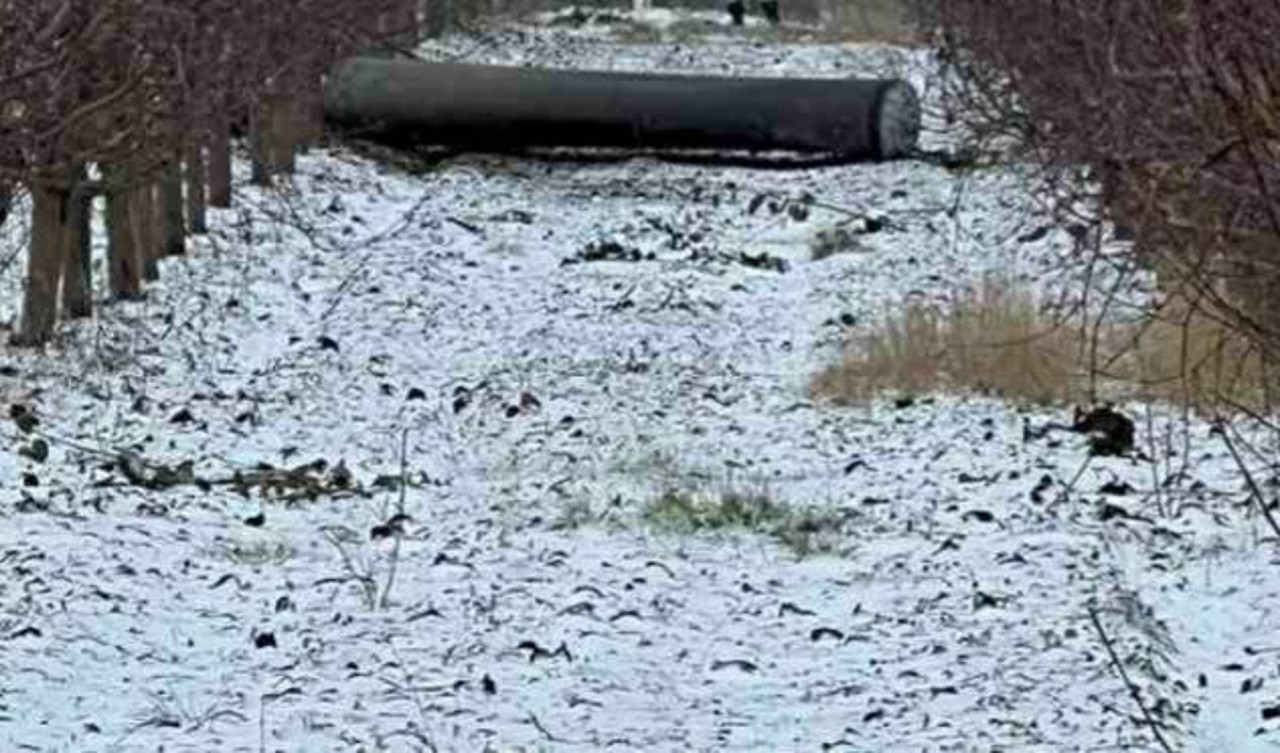 Игорь Гросу: Инцидент с обломком ракеты возле города Бричаны доказывает, что Республика Молдова должна инвестировать в системы противовоздушной обороны