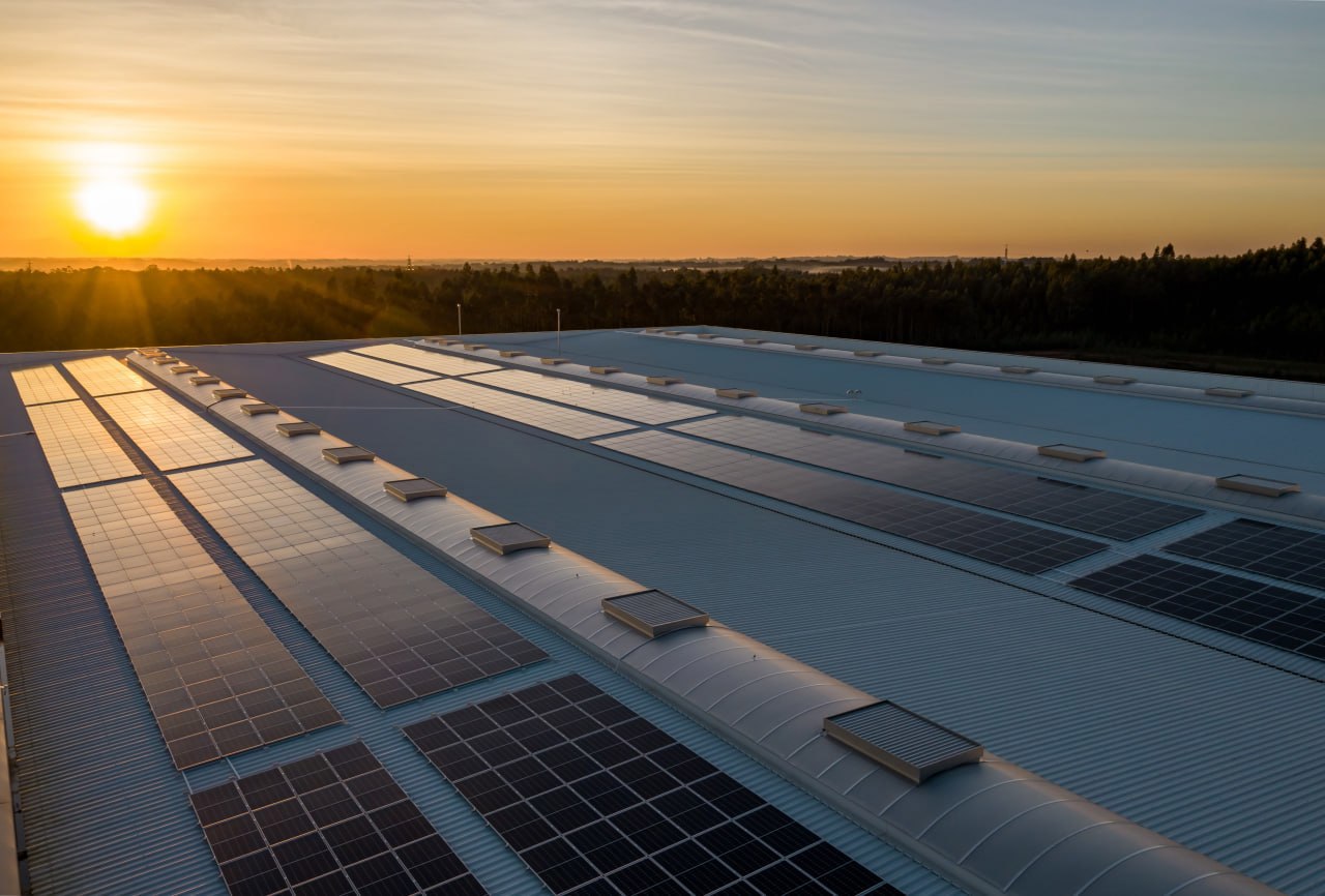 Reguli mai simple pentru proiectele de energie regenerabilă: Guvernul promite o piață mai transparentă a biocarburanților