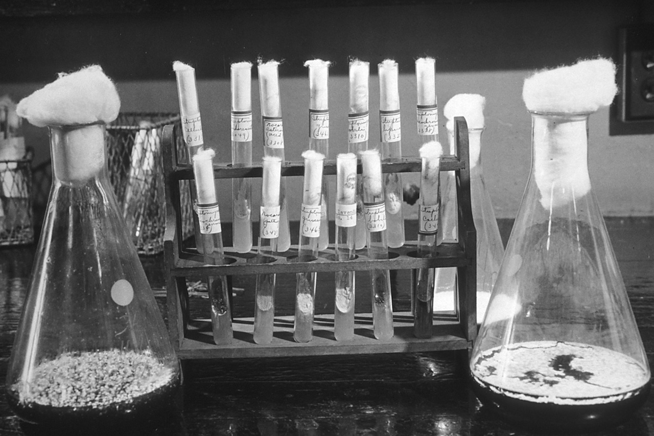 Calendarul Zilei // Se împlinesc 80 de ani de la descoperirea primului antibiotic capabil să vindece tuberculoza: Streptomicina