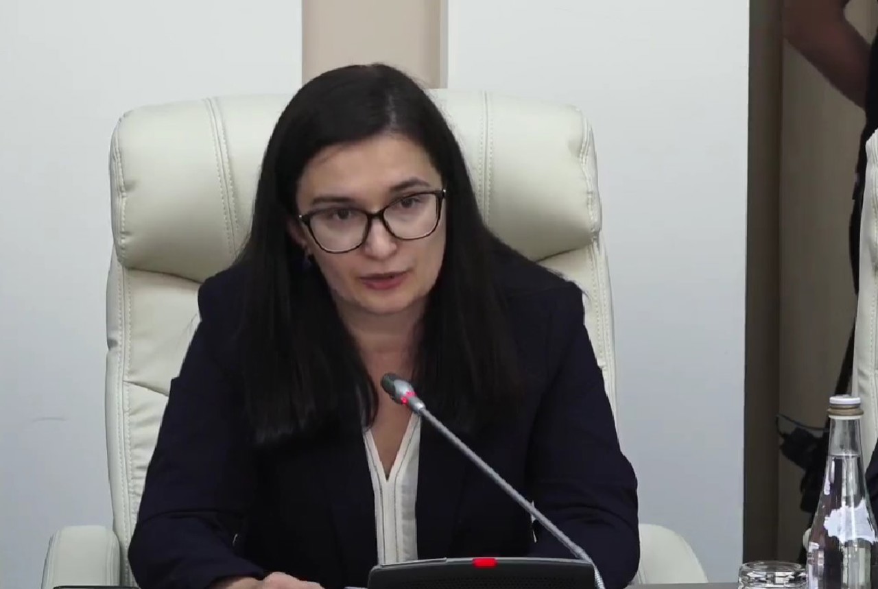 Кристина Герасимов на открытии первого двустороннего скрининга: "Это краеугольный камень переговорного процесса".