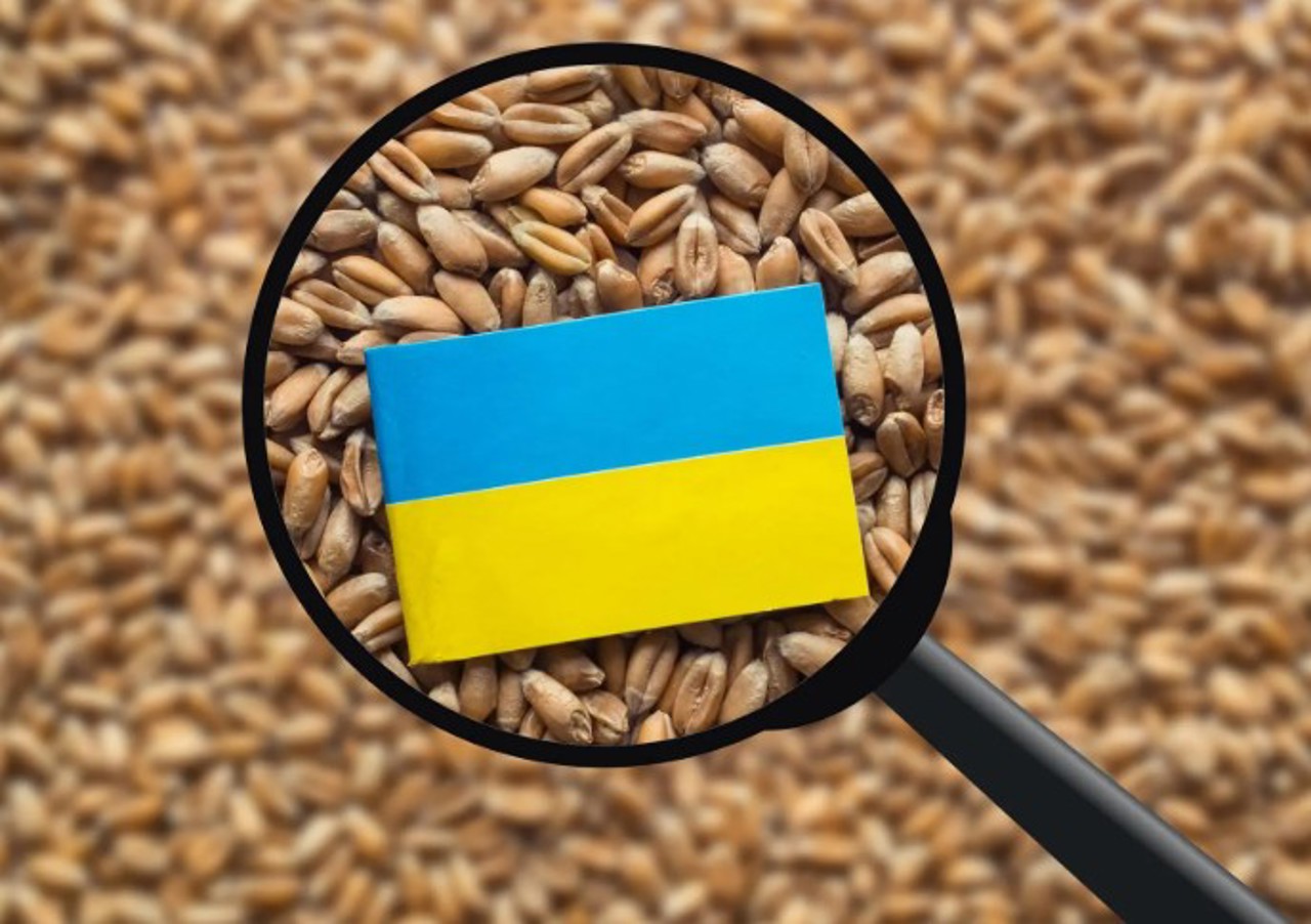 Farmers urge government to prolong import licenses to save exports