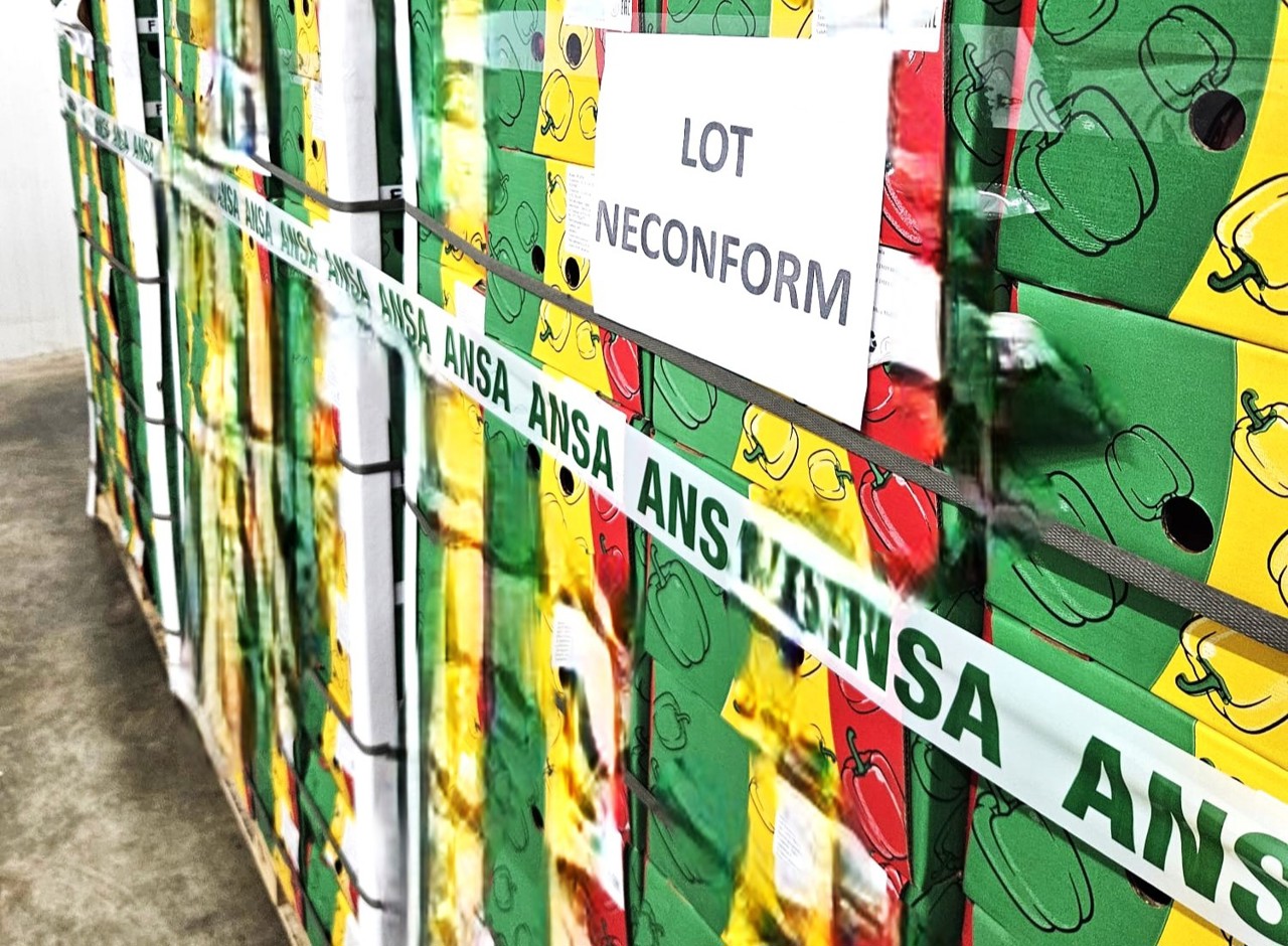 Pesticide peste limită: Peste nouă tone de ardei, nimicite la vamă