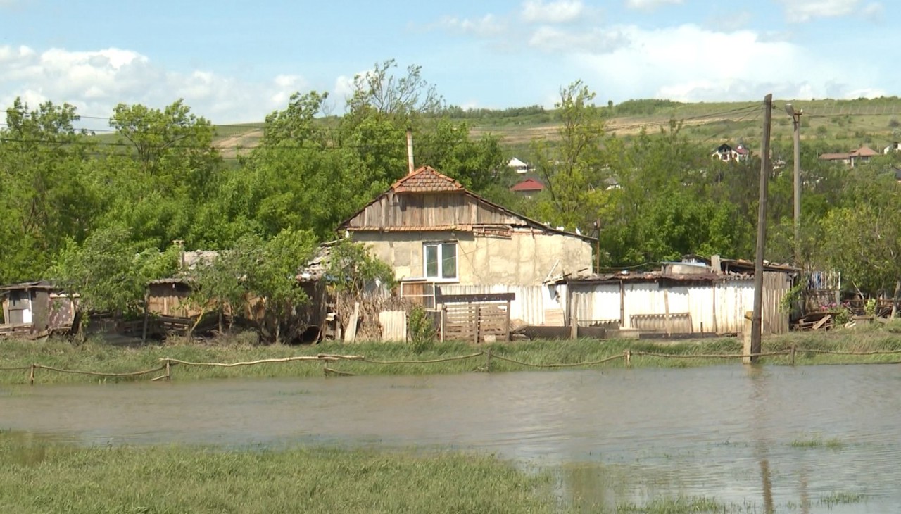 Consecințele ploilor în comuna Greblești: Terenuri și mașini inundate, case avariate și sere compromise