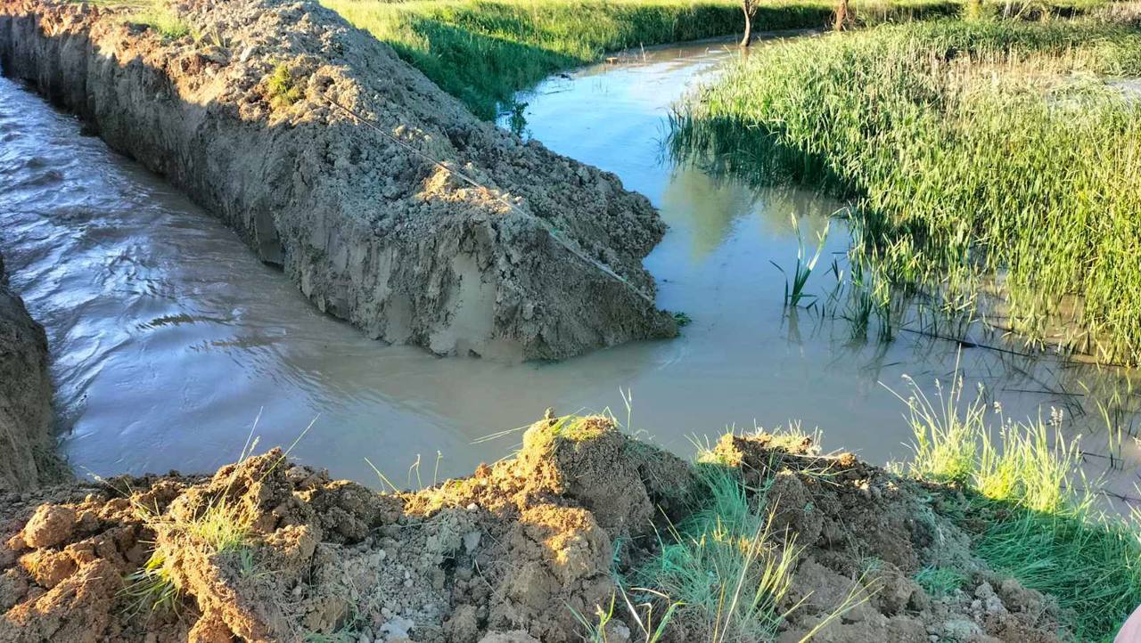 R. Moldova este insuficient pregătită pentru noile realități climatice, avertizează ecologiștii