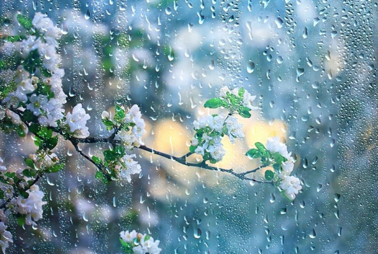 De Paștele Blajinilor, nu vă uitați umbrelele! Ce vreme prognozează meteorologii