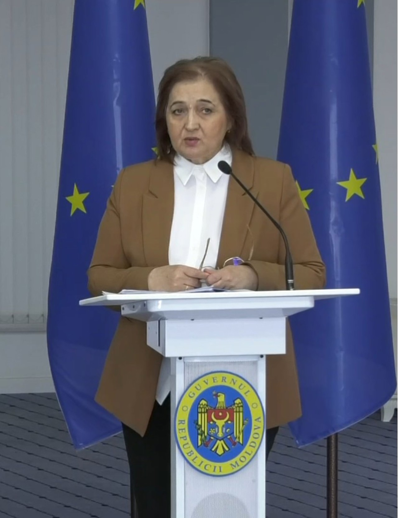 Raisa Dogaru, directoarea Agenției Naționale pentru Ocuparea Forței de Muncă