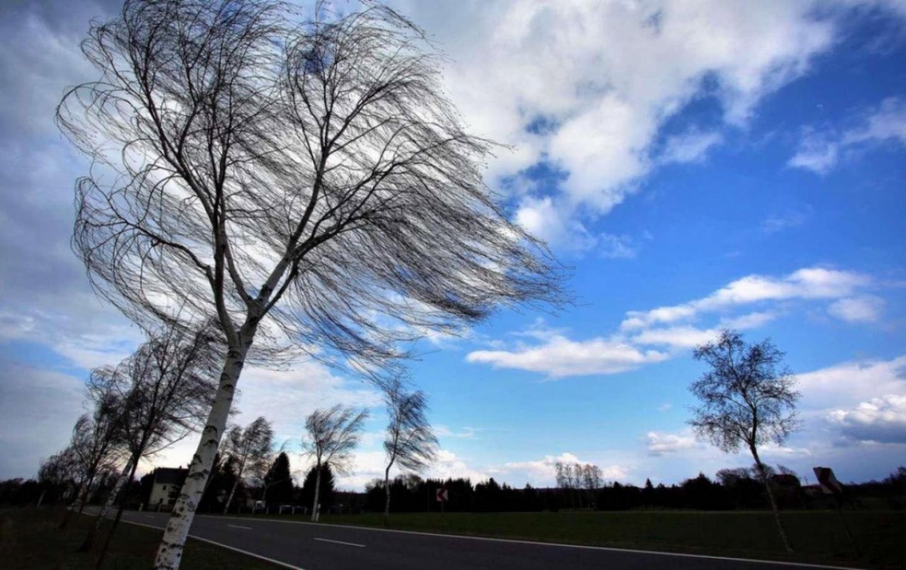 Vântul puternic face ravagii: Arbori doborâți și acoperișuri smulse în mai multe localități din nordul R. Moldova