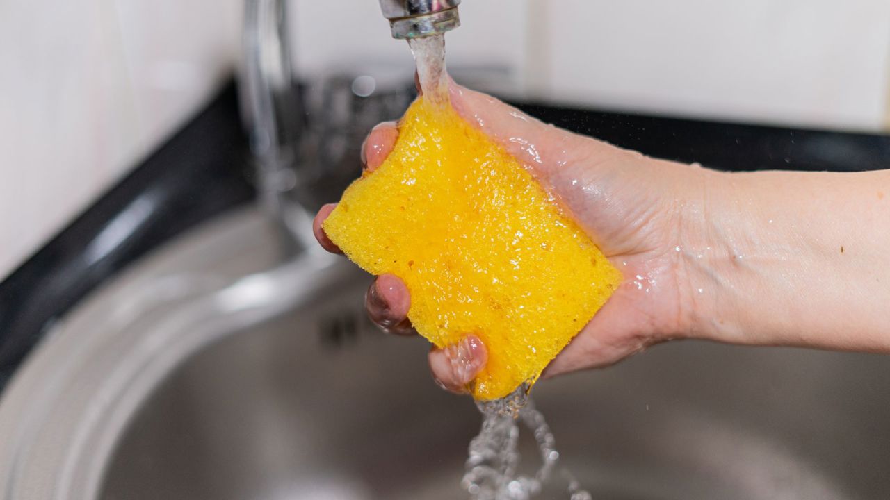 Bureții din bucătărie pot găzdui bacterii periculoase: Cinci sfaturi pentru a preveni contaminarea