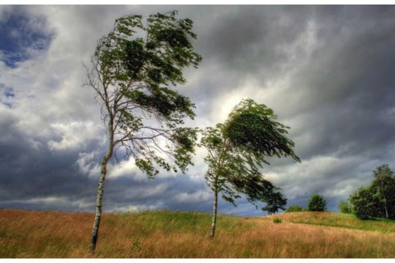 Meteorologii au emis cod galben de vânt puternic în toată țara