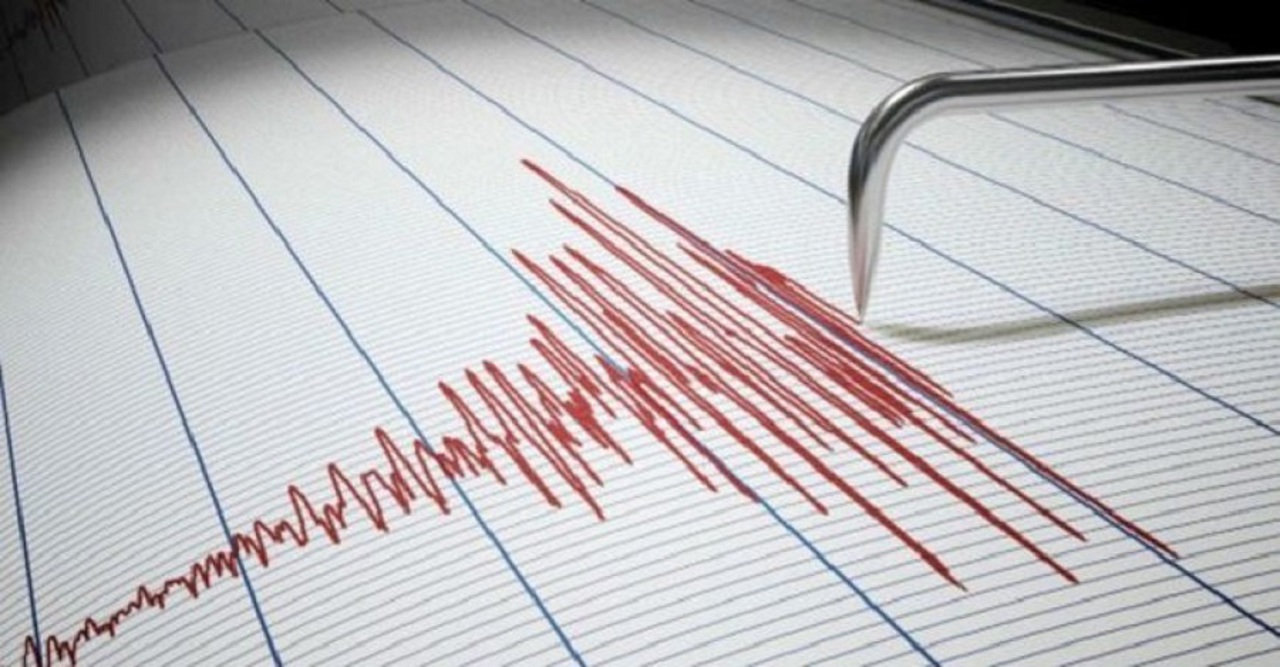 Cutremur cu o magnitudine de 4,2 grade în zona seismică Vrancea