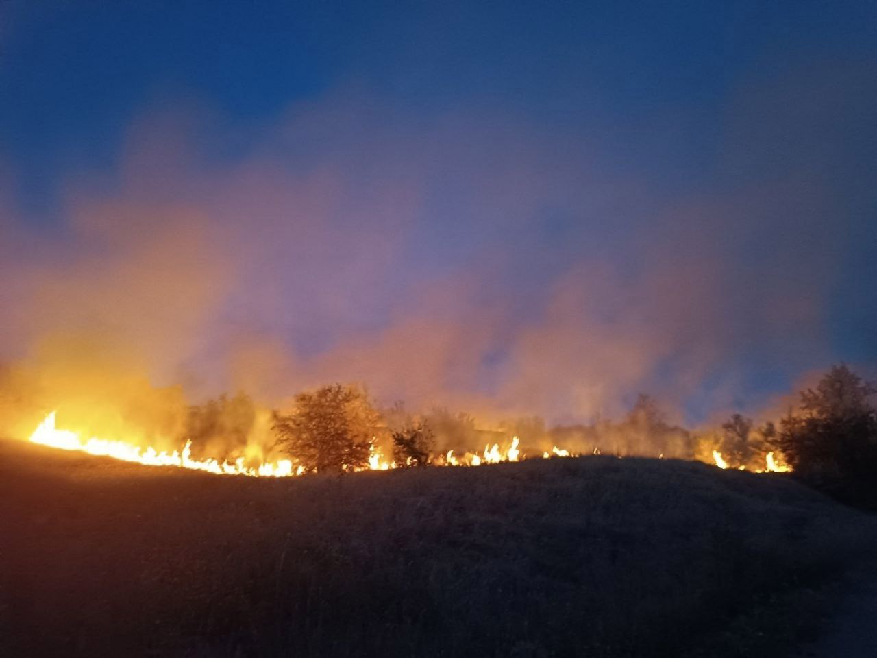 Incendiu de vegetație în zona de frontieră cu România