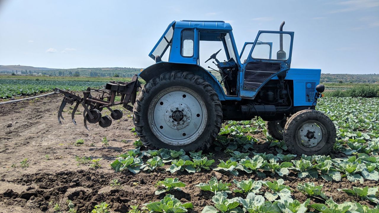 Înregistrarea gospodăriilor țărănești ar putea fi simplificată 