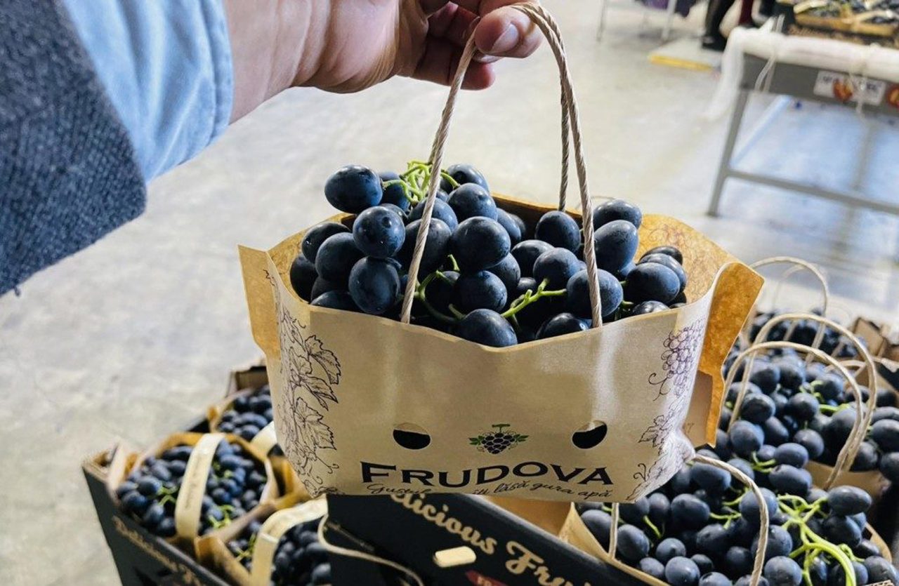 Mai mulți struguri „Moldova” pe piața UE: Cinci producători din sudul R. Moldova au obținut certificarea GlobalG.A.P.  