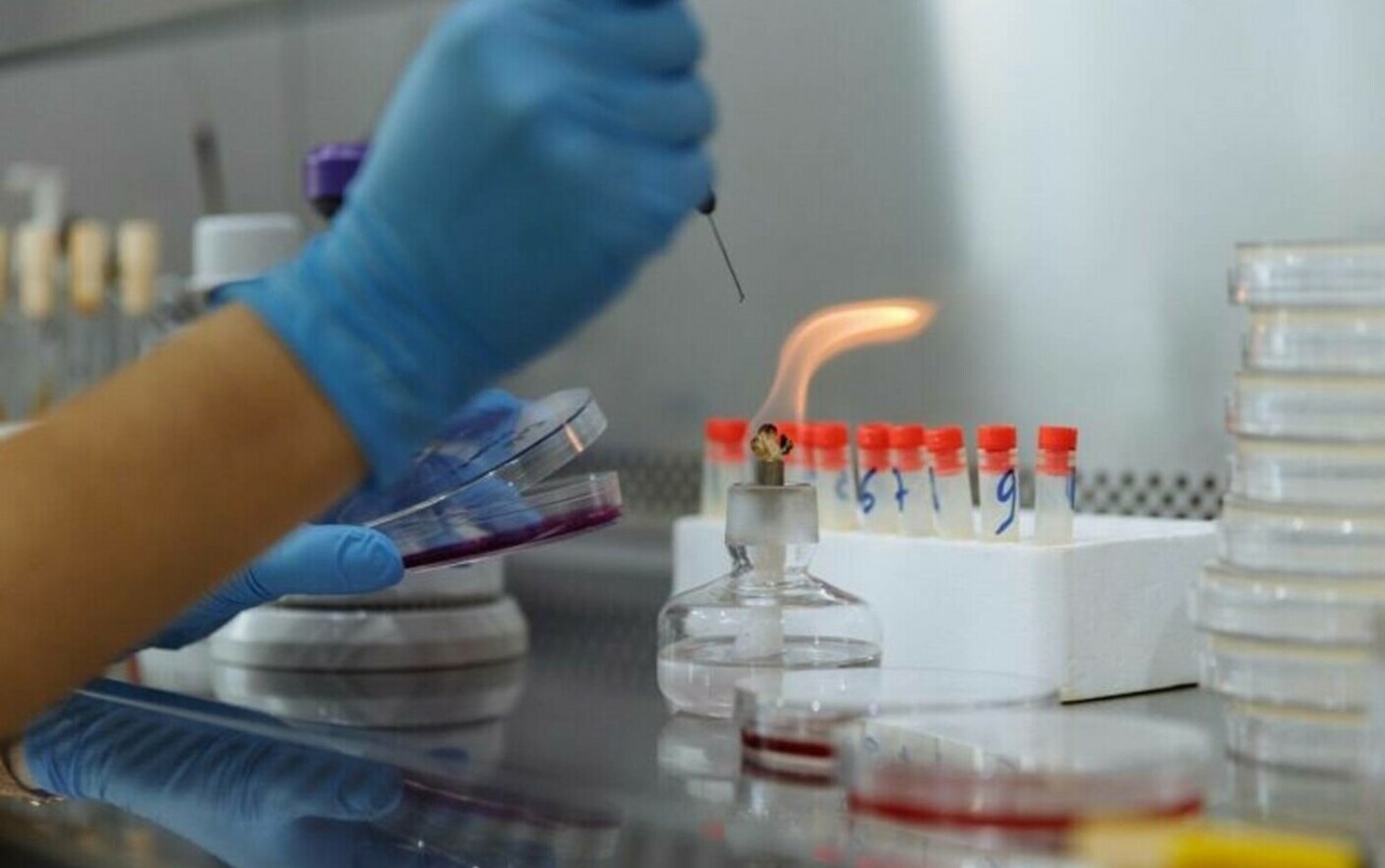 Doctorul familiei//O posibilă revoluție în transfuziile de sânge: crearea sângelui universal