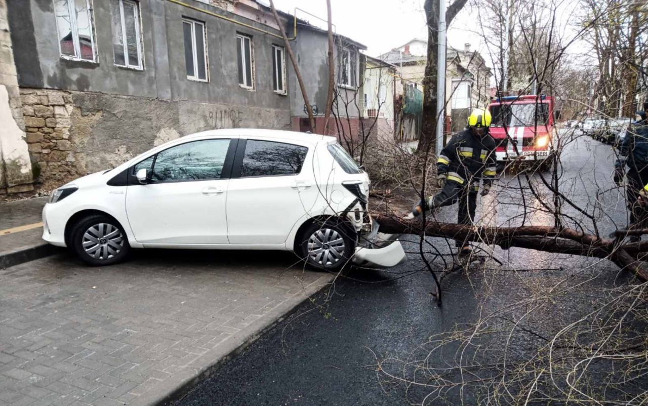 Метеорологи сообщают, что во второй половине дня сила ветра уменьшится