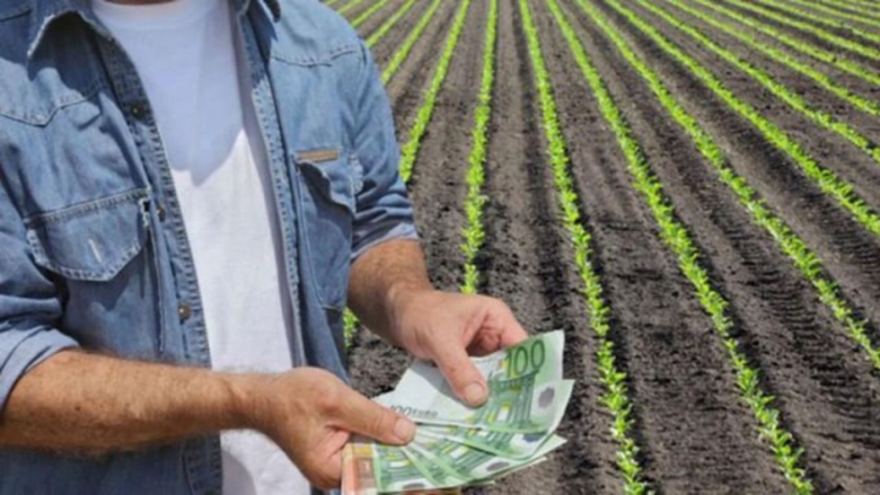 20 фермеров получат гранты в рамках программы "Устойчивое управление земельными ресурсами"