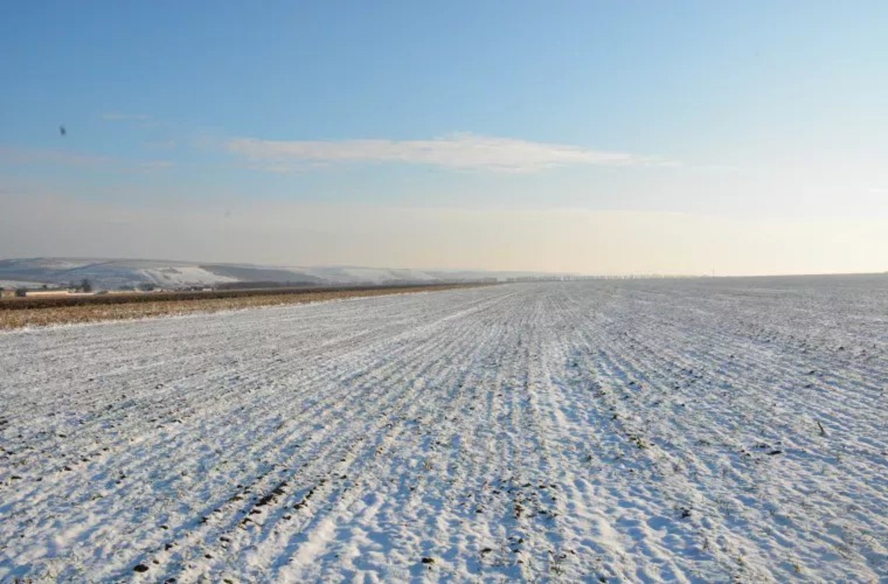 Specialist, despre beneficiile zăpezii și a înghețurilor pentru agricultură: „O mare parte din dăunători sunt distruși”