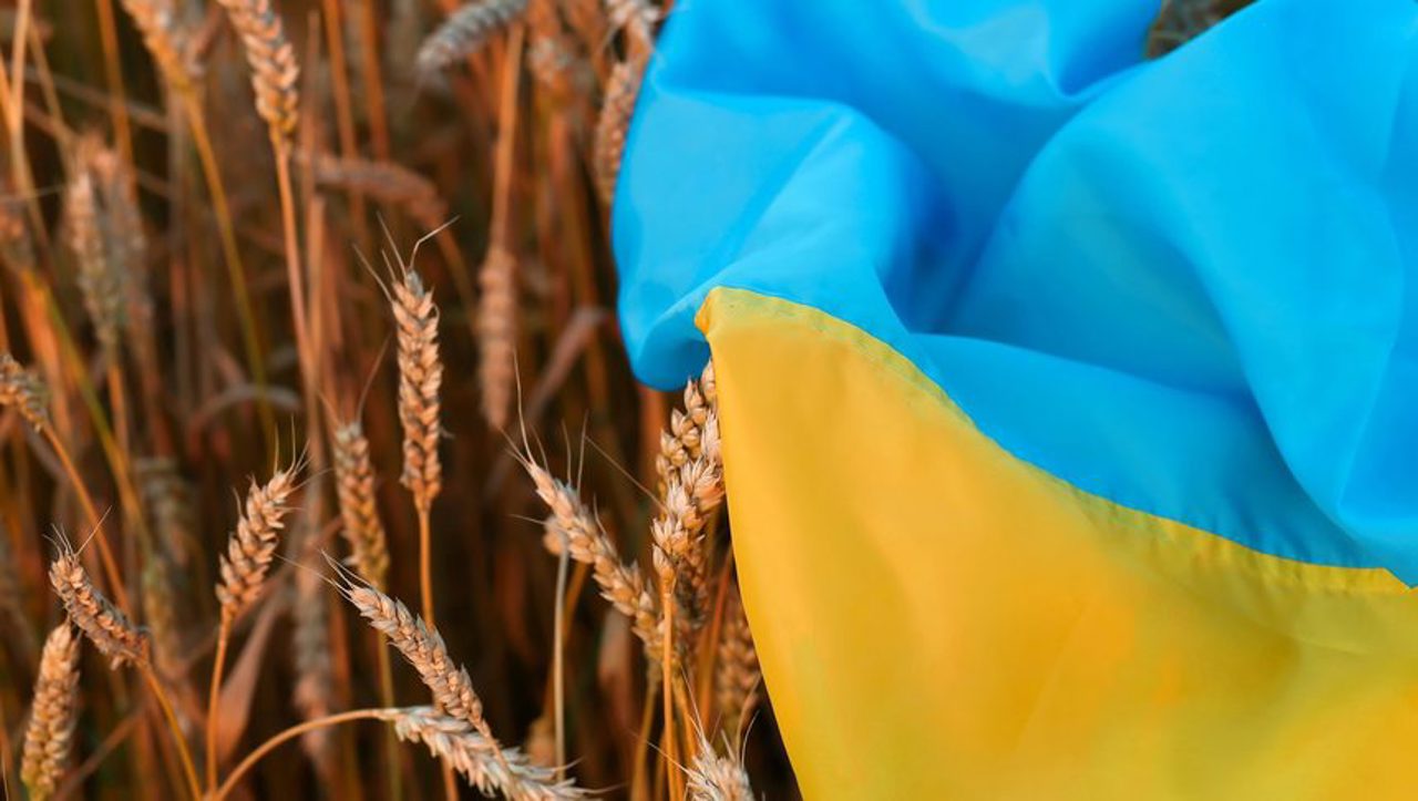 Послы ЕС достигли нового соглашения относительно импорта продуктов питания из Украины