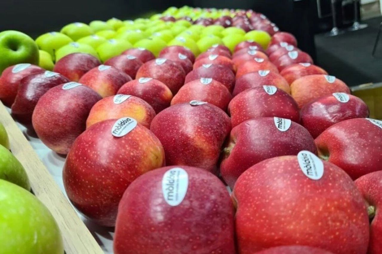 În primele nouă luni, Republica Moldova a exportat în UE mai multe mere, dar mai puține caise și struguri