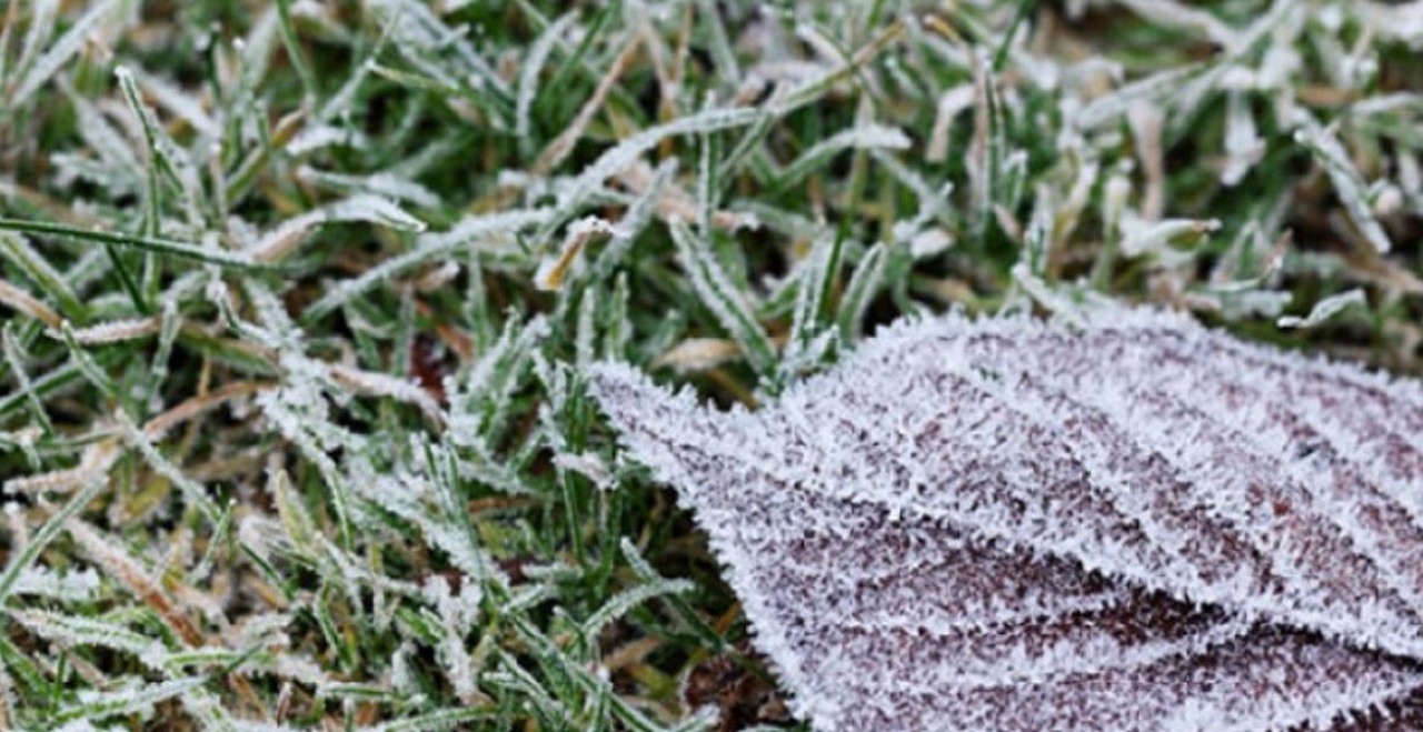 Vremea se răcește simțitor. Meteorologii au anunțat Cod galben de îngeț pe întreg teritoriul țării