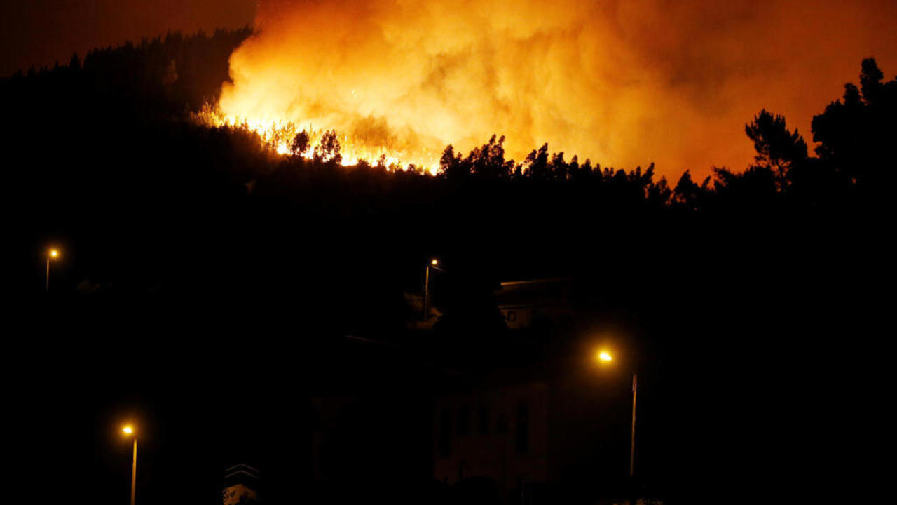 Peste 64.000 de hectare de pădure, făcute scrum în Portugalia. Pompierii nu se retrag