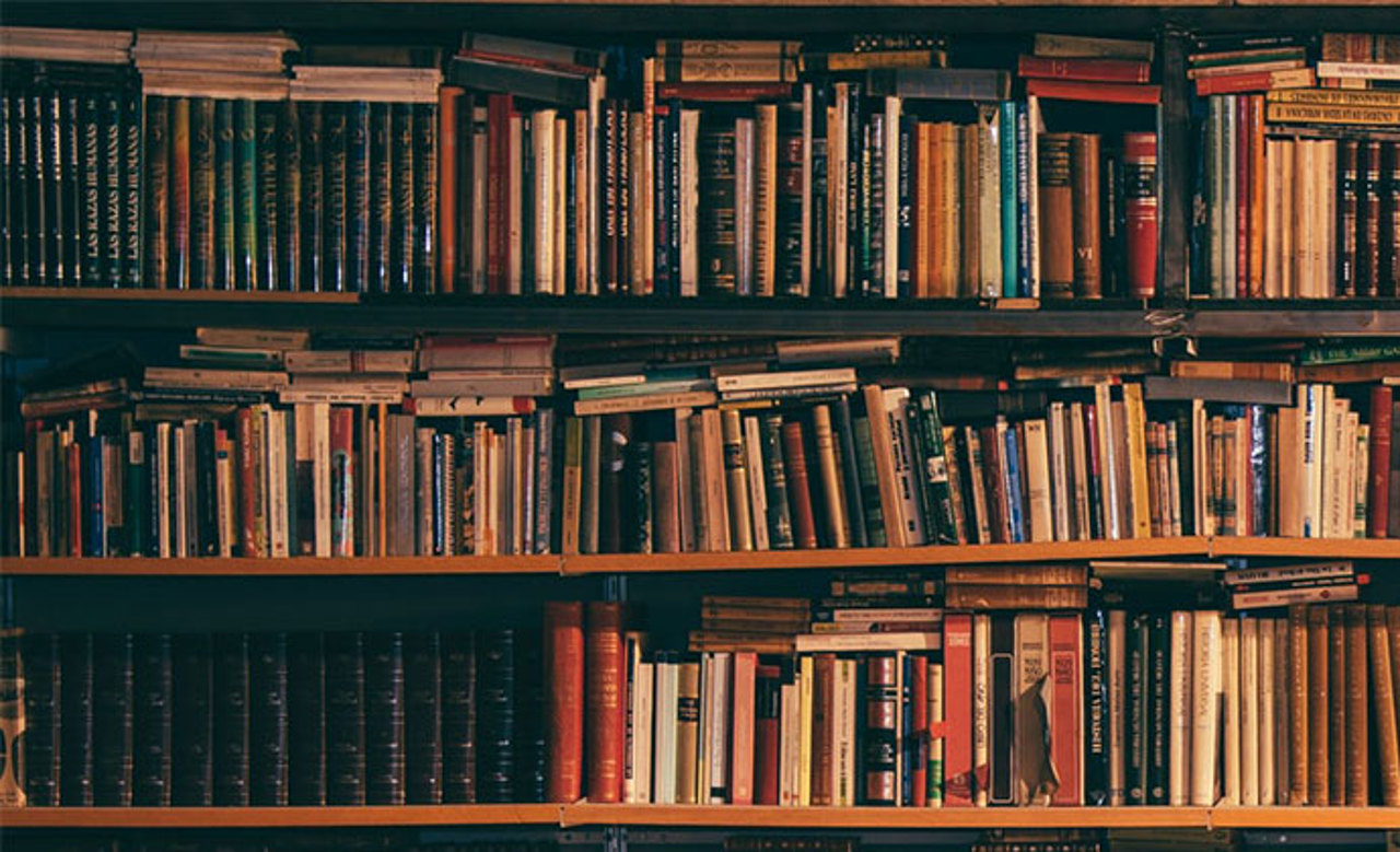 Библиотеки Республики Молдова нуждаются в новых книгах: Министерство культуры дополнит бюджет в связи с этим
