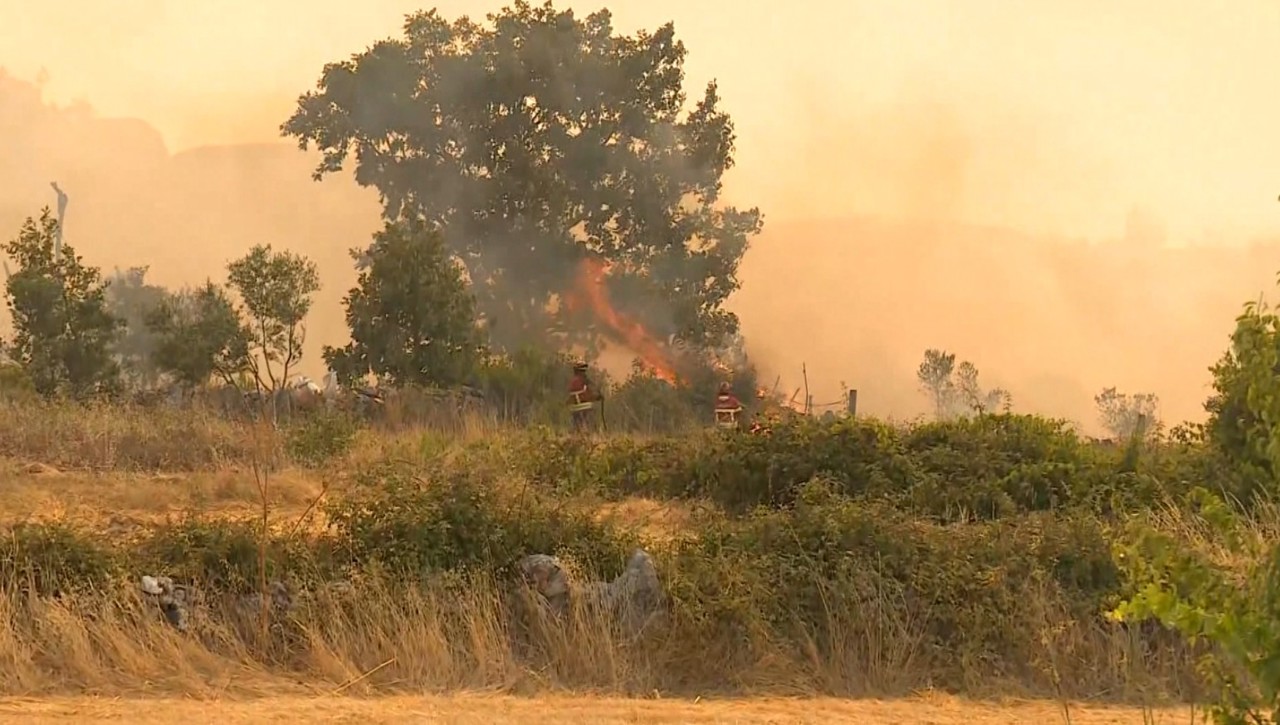 Mii de hectare mistuite de incendii în Spania, Portugalia și Franța, din cauza caniculei 