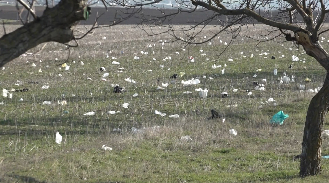 Plasticul, purtat de vânt peste terenuri agricole: Oamenii din Chirsova cer autorităților soluții urgente