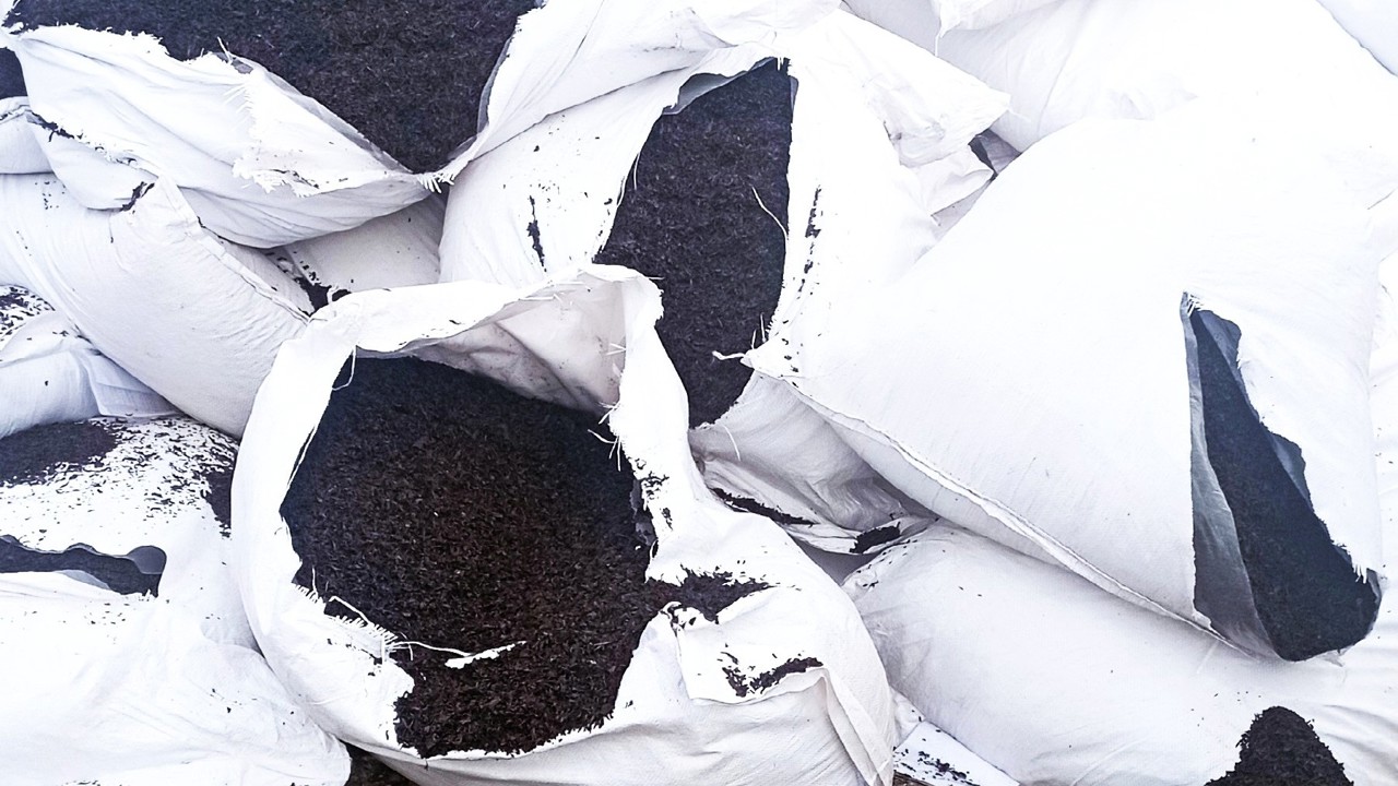 Lot de ceai negru nimicit de ANSA: 1120 kg cu reziduuri de pesticid