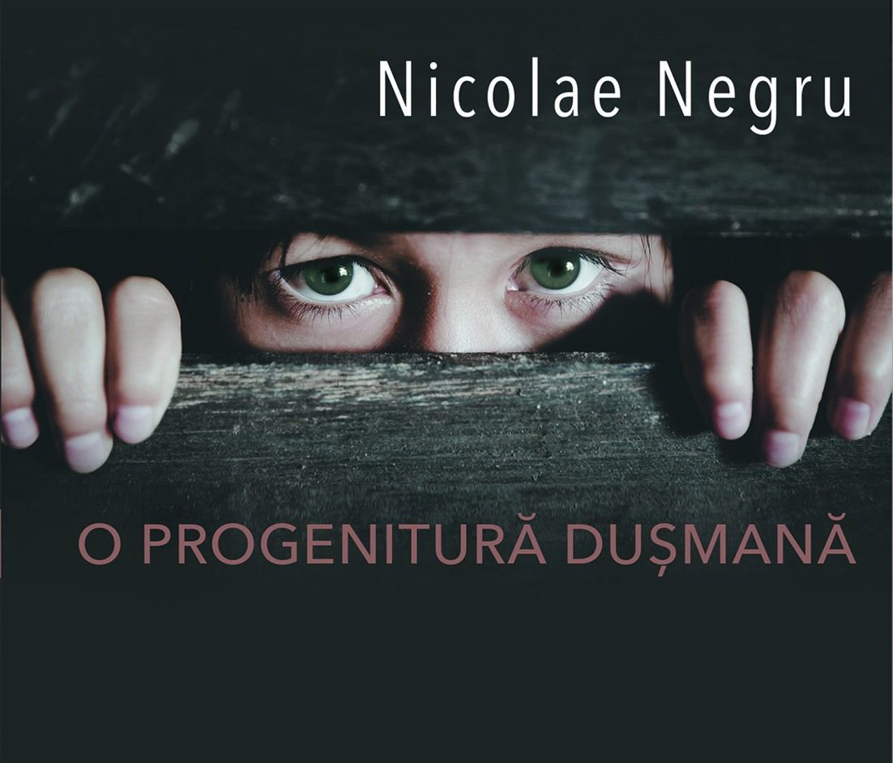 „O progenitură dușmană” - cartea lui Nicolae Negru, un tablou al supraviețuirii și amintirilor dureroase