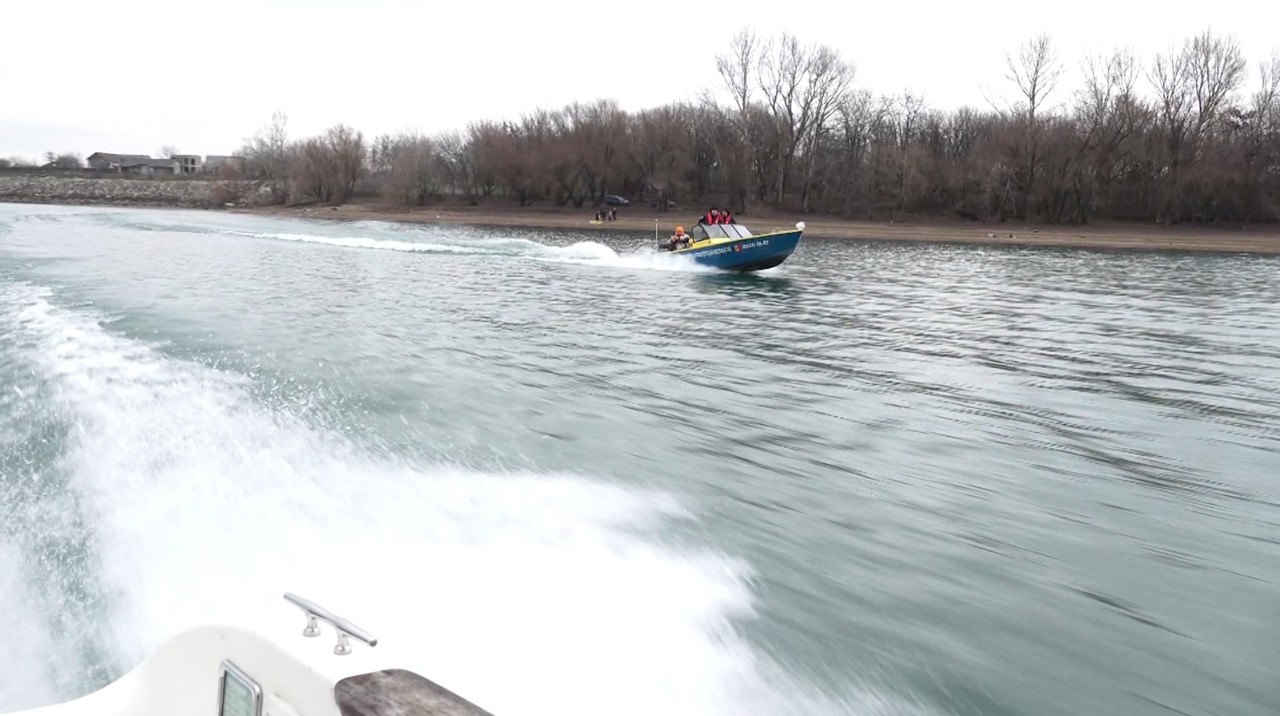 Amenzile pentru pescuitul ilegal ar putea fi înăsprite pentru a proteja mediul acvatic și speciile pe cale de dispariție