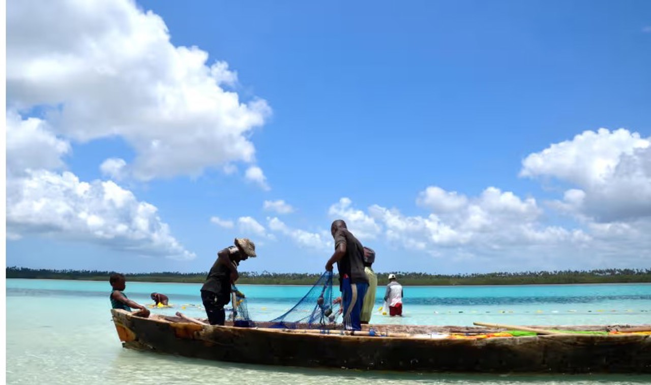  Eight children and an adult die in Zanzibar after eating sea turtle meat