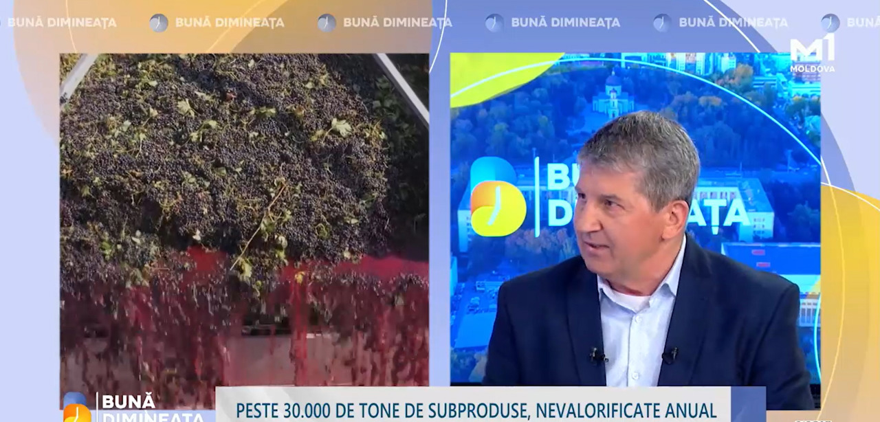 Deșeurile din vinificație, transformate în resursă: R. Moldova participă la un proiect european de cercetare