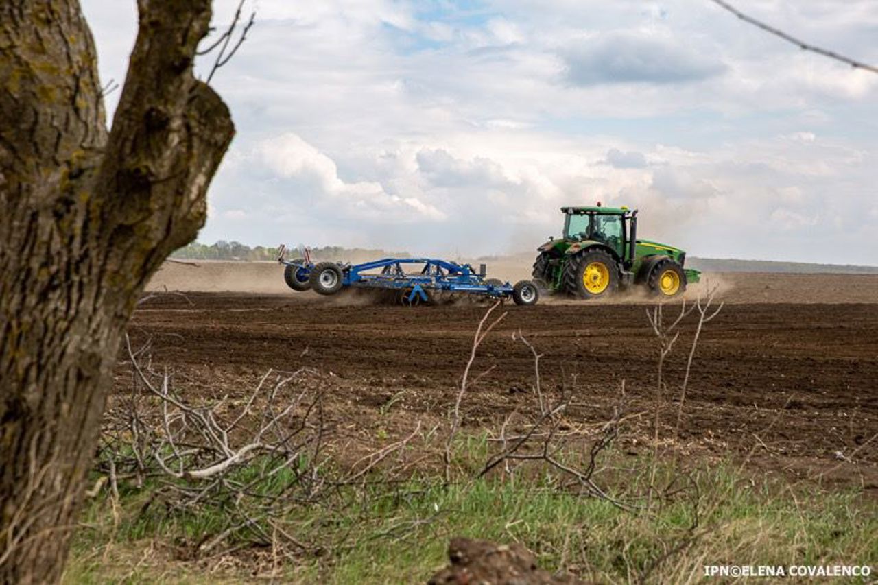 Moldova: 13 Grain Producers Seek Emergency Agricultural Credit