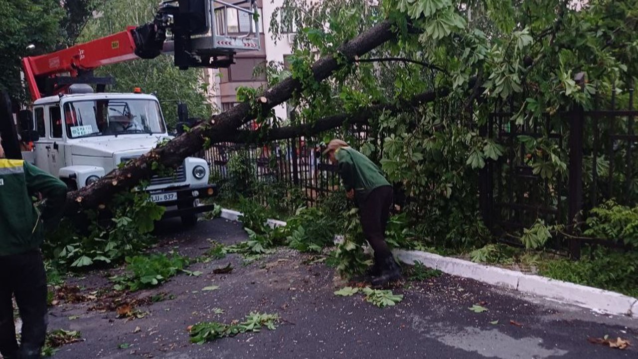 Consecințele ploii în municipiul Chișinău: mai mulți copaci au fost doborâți și două automobile avariate