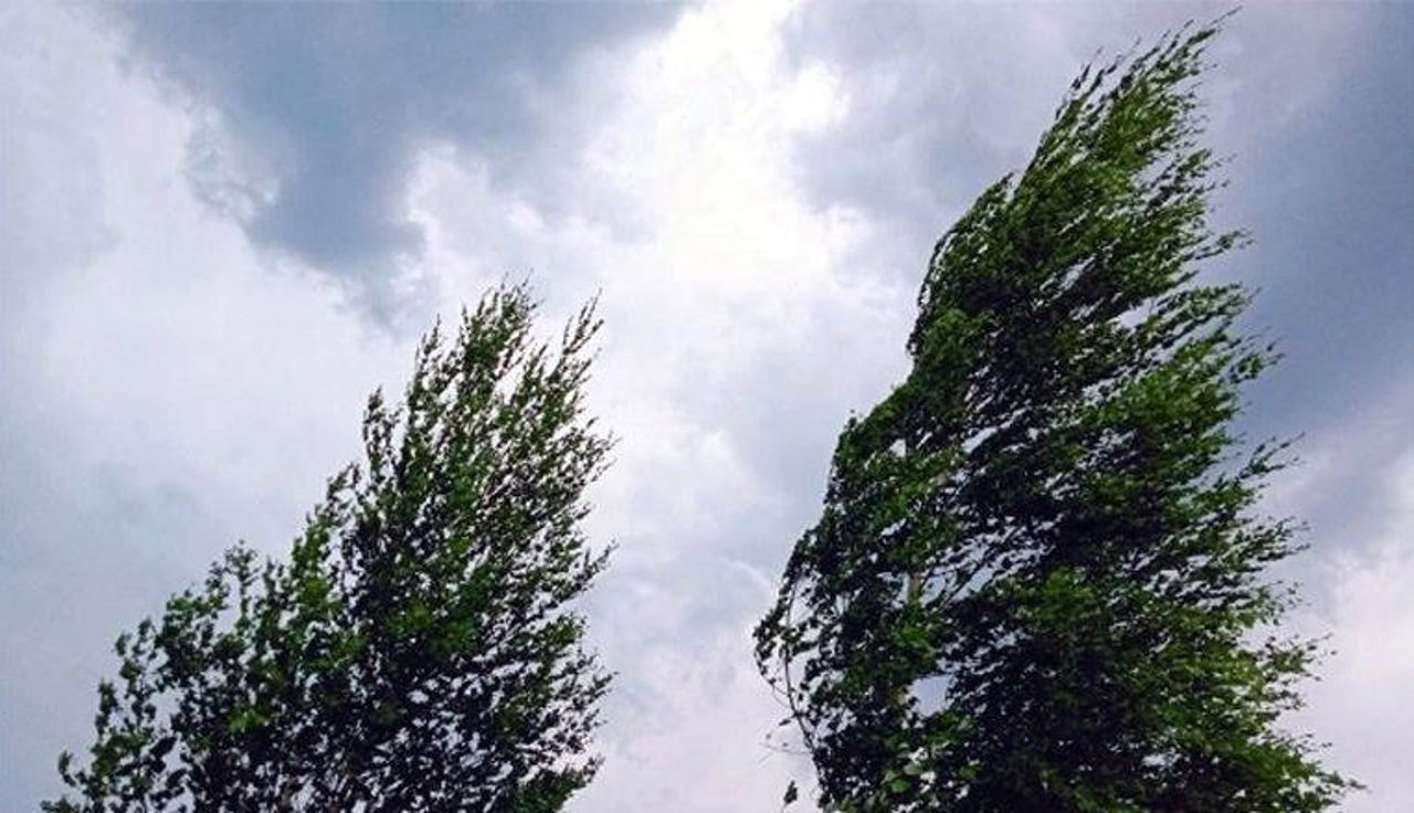 Avertizare meteo: Cod galben de vânt puternic, valabil până sâmbătă seară